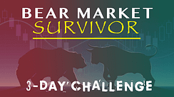 Bear Market Survivor COVER